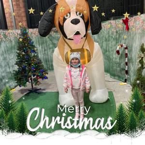 Meet your Posher, Stuart